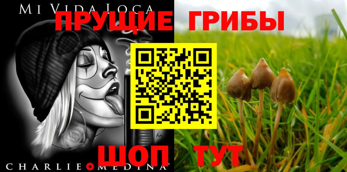 Галлюциногенные грибы прущие грибы Пугачёв