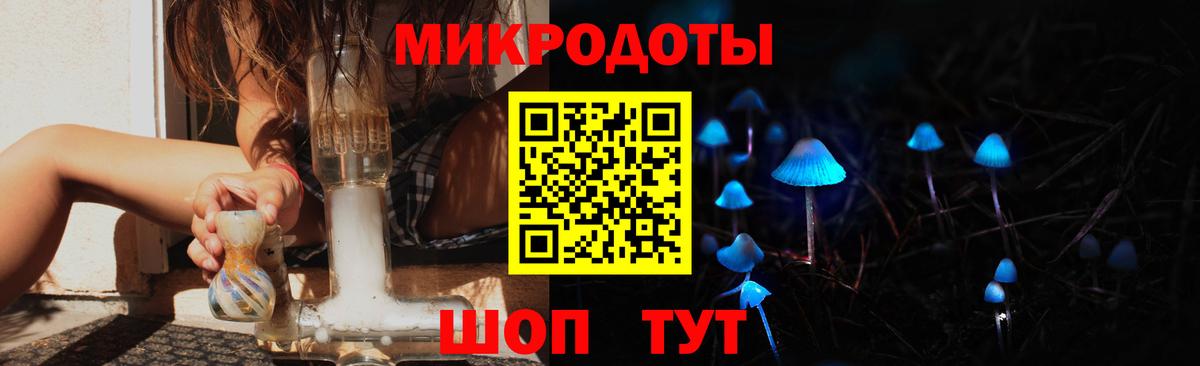 Пугачёв  Галлюциногенные грибы прущие грибы  Вход с VPN 